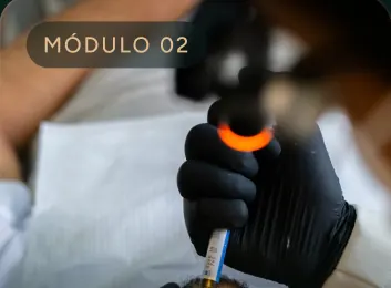 Módulo 02